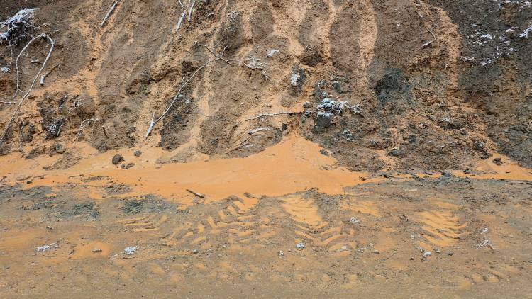 D&uuml;zce'de vatandaş diken &uuml;st&uuml;nde: Muhtar k&ouml;y&uuml; boşaltın &ccedil;ağrısında bulundu 