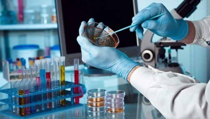 Aziz Sancar'dan tarihe ge&ccedil;ecek &ccedil;alışma! Deneyde hastalık yok edildi, tarih verip duyurdu..