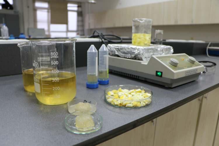 <p>Geliştirilen hidrojelin yara bantlarında ila&ccedil; taşıyıcı ve bariyer malzeme olarak, bebek ve hasta bezlerinde ise s&uuml;per emici olarak kullanılması hedefleniyor.&nbsp;</p>
