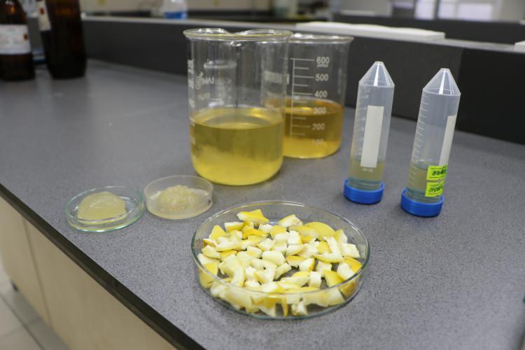 <p>Projenin danışmanlığını y&uuml;r&uuml;ten Prof. Dr. Feza Geyik&ccedil;i,<strong>&nbsp;&ldquo;Laboratuvar &ccedil;alışmalarını tamamladıktan sonra ila&ccedil; taşıma sistemleri kapsamında bu malzemenin kullanımı değerlendirilebilir"</strong>&nbsp;dedi.</p>

<p>&nbsp;</p>
