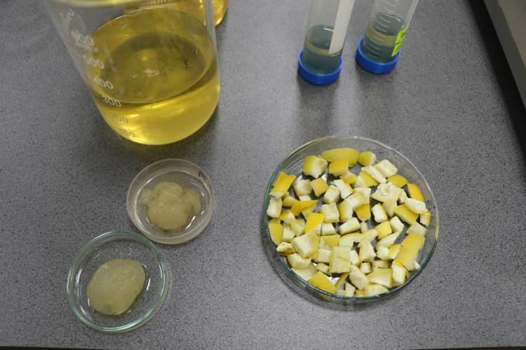 <p>Geliştirilen hidrojelin yara bantlarında ila&ccedil; taşıyıcı ve bariyer malzeme olarak, bebek ve hasta bezlerinde ise s&uuml;per emici olarak kullanılması hedeflenirken, farklı kullanım alanlarına y&ouml;nelik geliştirme &ccedil;alışmalarının s&uuml;rd&uuml;ğ&uuml; belirtildi. Projedeki &ccedil;alışma hakkında konuşan Prof. Dr. Feza Geyik&ccedil;i, ş&ouml;yle konuştu:&nbsp;</p>
