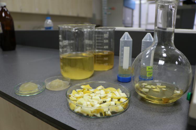 <p><strong>&ldquo;Bu &ccedil;alışma kapsamında, yeni nesil malzemeler arasında yer alan hidrojellerin sentezine odaklandık ve bu s&uuml;reci doğal tarımsal atıklardan yararlanarak ger&ccedil;ekleştirmeyi ama&ccedil;ladık&rdquo;</strong>&nbsp;</p>
