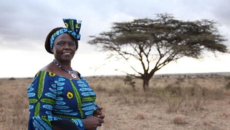 <p><strong><span style="color:#B22222">2004&nbsp; |&nbsp;&nbsp;WANGARİ MAATHAİ&nbsp;</span> - Kenya</strong></p>
