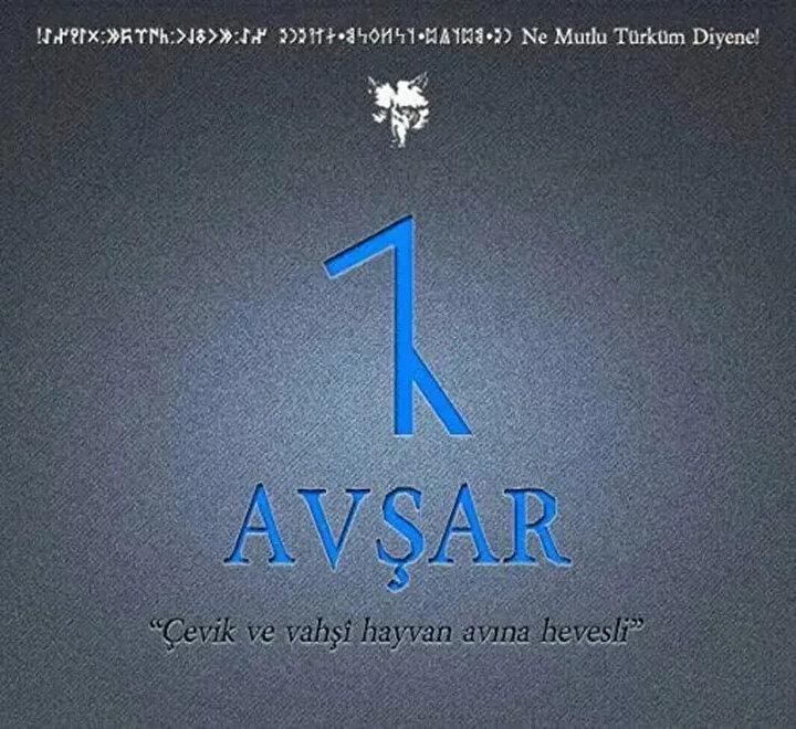 <p><span style="color:#B22222"><strong>9- AVŞAR ( AFŞAR )</strong></span></p>

<p>Afşar - Afyon-Dinar-Dombayova Avşar - Amasya-Ezine Afşar - Ankara-Bala B&uuml;y&uuml;k Afşar - Ankara-Delice K&uuml;&ccedil;&uuml;k Afşar - Ankara-Delice Afşar - Ankara-G&uuml;d&uuml;l Afşar - Ankara-Kalecik-&Ccedil;andır Avşar (Burhaniye) - Ankara-Polatlı Afşar - Şerefliko&ccedil;hisar-Ağa&ccedil;&ouml;ren Avşar (Afşar) - Antalya-Elmalı_Ak&ccedil;ay Avşar - Aydın-S&ouml;ke KocaAvşar - Balıkesir-Merkez &Ccedil;am Avşar - Balıkesir-Balya Afşar(Afşargıdırı&ccedil;-Afşargidiri&ccedil;) - Bolu-Merkez Afşartarak&ccedil;ı - Bolu-Gerede BirinciAfşar(afşarevvel) - Bolu-Gerede İkinci Afşar(afşarsanı) - " " Afşar - Bolu-Mengen-G&ouml;k&ccedil;esu Afşar - Bursa-Yenişehir Afşar - &Ccedil;ankırı-&Ccedil;erkeş Avşar - &Ccedil;orum-Kargı-Hacıhamza Menteşe(Afşar) - Denizli-Honoz Karah&uuml;y&uuml;kAfşarı - Denizli-Acıpayam KumAfşarı - " " Avşar&ouml;z&uuml;(H&uuml;seyinşeyh) - Erzincan-Refaiye YakaAvşar - Isparta-Eğridir-Aksu Afşar - Isparta-Gelendost Afşar - Kastamonu-İhsaniye(Ara&ccedil;) Afşarg&uuml;ney - Kastamonu-K&uuml;re Afşarimam - " " Afşar - Kastamonu-Taşk&ouml;pr&uuml; Avşarpotuklu - Kayseri-Pınarbaşı Avşars&ouml;ğ&uuml;tl&uuml; - Kayseri-Pınarbaşı-Pazar&ouml;ren B&uuml;y&uuml;ks&ouml;be&ccedil;imen( Avşar) - Kayseri-Sarız BayAfşar - Konya-Beyşehir K&uuml;&ccedil;&uuml;kAfşar - " " Afşar - Konya-&Ccedil;umra-Dinek Afşar - Konya-Hadim-Taşkent Afşarlı - Konya-Kadınhanı-Kurtasanlı Afşar - K&uuml;tahya-Emet-Pazar&ouml;ren(&ouml;rencik) Afşar(K&uuml;rtleravşarı) - Kahramanmaraş-Merkez Avşarlı - Kahramanmaraş-T&uuml;rkoğlu Avşar - Mugla-Milas Afşar - Manisa-Sarıg&ouml;l Avşar - Manisa-G&ouml;rdes-K&ouml;pr&uuml;başı Avşar - Manisa-Turgutlu Avşarcık - Sivas-Divriği Avşar - Sivas-İmranlı-Karaca&ouml;ren Avşar - Sivas-Suşehri-Akıncılar Avşar&ouml;ren(Avşarveran) - Sivas-Kangal-(Akpınar) Avşar - Sivas-Zara-Şerefiye Avşar(Apşur) - Tekirdağ-Barboros Avşarağzı - Tokat-&Ccedil;amlıbel Avşaralanı - Yozgat-&Ccedil;ayıralan Afşar - Zonguldak-Eflani</p>
