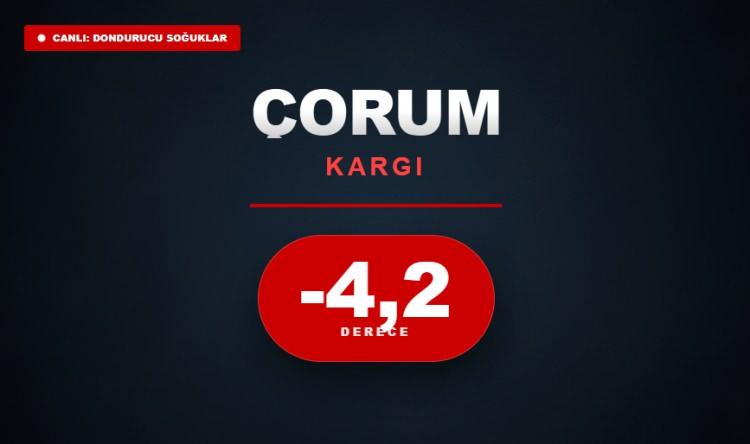 <p><strong>&Ccedil;ORUM&nbsp;</strong></p>
