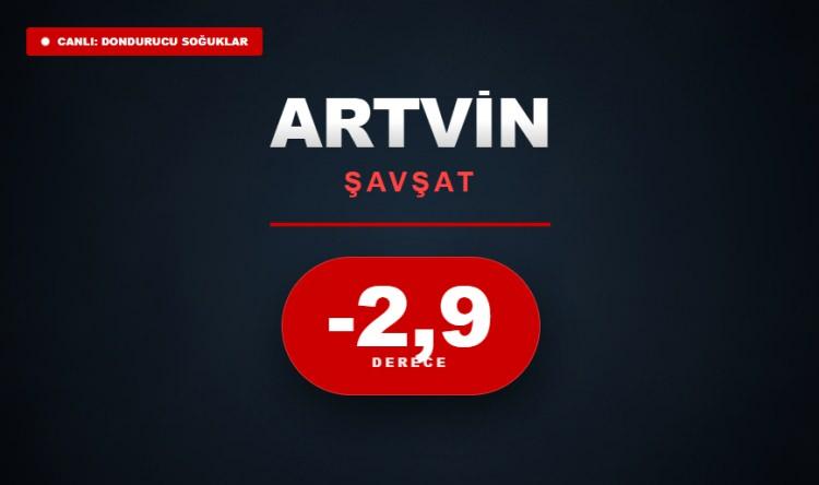 <p><strong>ARTVİN</strong></p>

