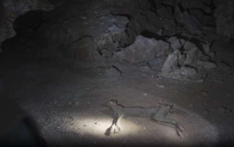 <p><strong>MAĞARALARIN KORUYUCU ETKİSİ</strong></p>

<p>&nbsp;</p>
