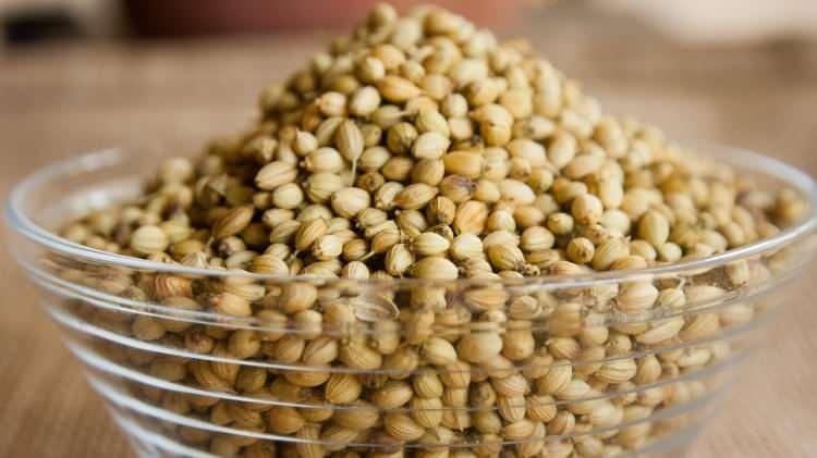 <p>Fitosteroller, bitkisel k&ouml;kenli bileşikler olup, kolesterol&uuml;n bağırsaklardan emilimini engeller. B&ouml;ylece kandaki k&ouml;t&uuml; kolesterol d&uuml;zeyi azalır.</p>
