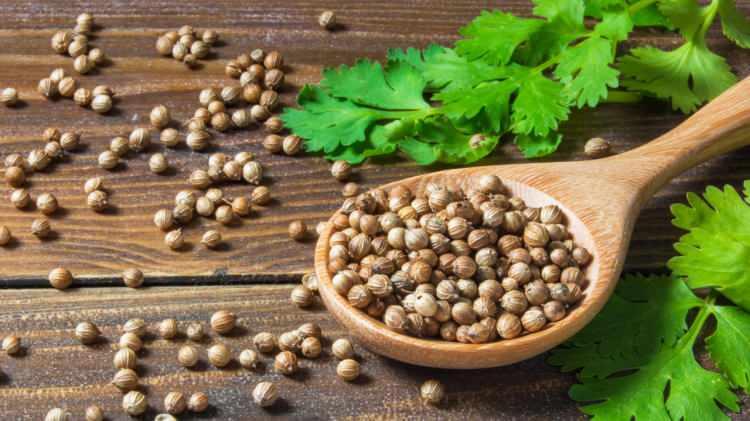 <p>Fitosterollerin kolesterol&uuml; azaltma mekanizması olduk&ccedil;a basittir. Bağırsaklarda kolesterol&uuml;n emilimini bloke ederek, v&uuml;cuda daha az LDL ge&ccedil;mesini sağlar.</p>

<p>&nbsp;</p>
