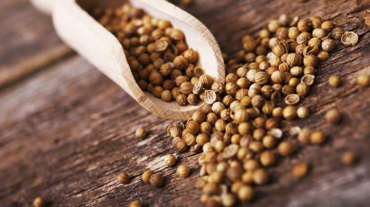 <p>Kişnişin i&ccedil;inde bulunan nitrik oksit, damarların esnekliğini artırarak tansiyonu dengelemeye katkı sağlar.</p>
