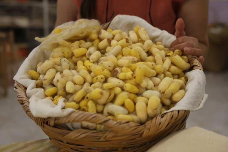 Yaptığı işle Cumhurbaşkanı Erdoğan'dan "Yaşayan İnsan Hazinesi" &ouml;d&uuml;l&uuml;n&uuml; aldı 