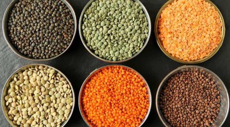 <p><strong>Sağlıklı bir beslenme rutini i&ccedil;in &ccedil;oğunlukla protein ağırlıklı et, tavuk, yumurta ya da zengin i&ccedil;erikleriyle &ouml;n plana &ccedil;ıkan sebzelere y&ouml;nelsek de toprağın bereketiyle harmanlanan bakliyatları unutmamak gerekiyor.</strong></p>
