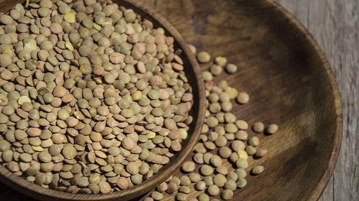 <p><span style="color:#FF0000"><strong>KAN ŞEKERİNİ DENGELER</strong></span></p>

<p><strong>Karmaşık karbonhidratlar i&ccedil;eren yeşil mercimek, kan şekerini dengeleyen &ouml;zelliğiyle etkili bir besindir.</strong></p>
