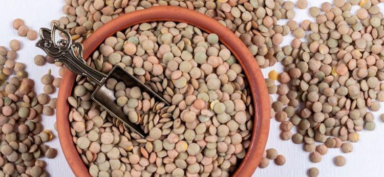 <p><span style="color:#FF0000"><strong>SAĞLIK İ&Ccedil;İN KALKAN OLUR</strong></span></p>

<p><strong>G&uuml;&ccedil;l&uuml; antioksidanlar sayesinde v&uuml;cudu serbest radikallere karşı koruyabilen yeşil mercimek, hastalıklara karşı kalkan g&ouml;revi &uuml;stlenir.</strong></p>
