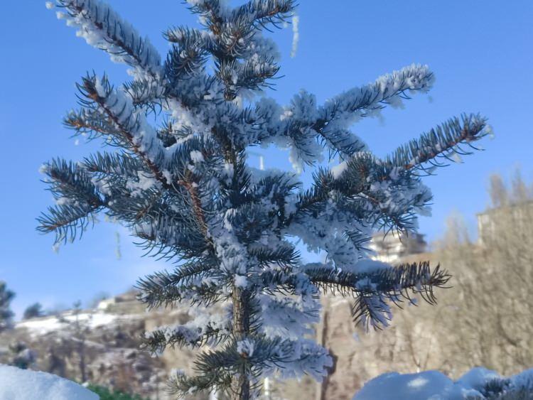 Ardahan'da hayat dondu: Termometreler eksi 27,4 dereceyi g&ouml;sterdi