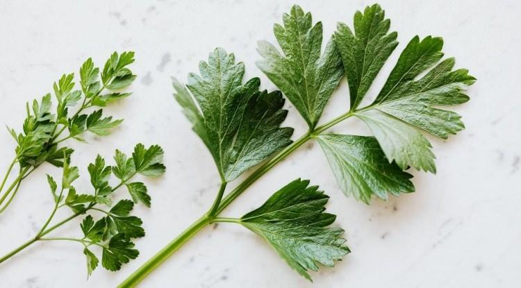 <p><strong>Yeşil yapraklı sebzeler, bağışıklık sistemini destekler ve kemik sağlığına faydalı etki sunar.</strong></p>
