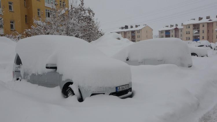Bitlis'te şaşkına &ccedil;eviren manzara: Evler kardan kayboldu