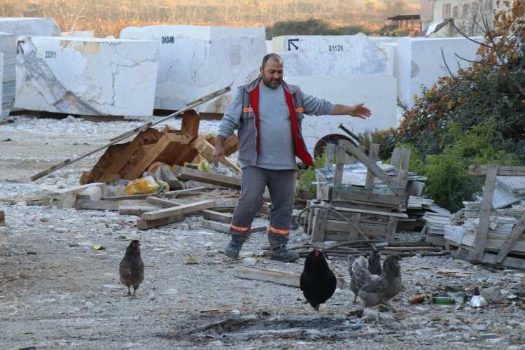 <p>Hedefinin &uuml;lkemiz i&ccedil;in daha kaliteli ve daha verimli bir t&uuml;r &ccedil;ıkartmak olduğunu belirten Birsin, <strong>"Bizde &uuml;lkemiz i&ccedil;in daha kaliteli, daha verimli t&uuml;r &ccedil;ıkartmak hedefimiz. Genelde yumurtalardan, civcivlerden başka yetiştirici arkadaşlar istiyor, &ccedil;evremdeki tanıdıklarım &ccedil;ok istiyor. Fazla &uuml;retim olduğunda onlara yumurta, civciv hediye ediyorum."</strong> ifadelerini kullandı.</p>
