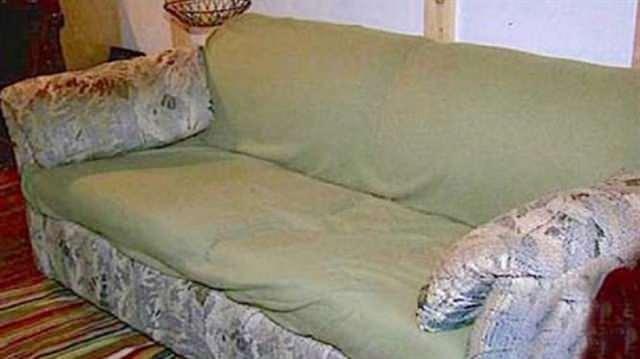 <p><strong>Kısıtlı b&uuml;t&ccedil;eleri sebebiyle ikinci el eşya satan bir d&uuml;kkandan koltuk almak isteyen gen&ccedil;ler, 20 dolar değerindeki eski bir koltuğu g&ouml;r&uuml;nce hi&ccedil; vakit kaybetmeden satın aldı.&nbsp;</strong></p>
