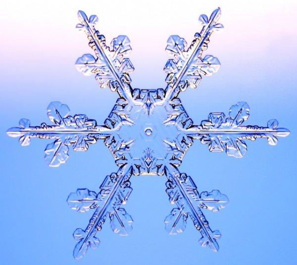 <p><span style="color:#0000FF"><strong>KAR TANELERİ NASIL OLUŞUR</strong></span></p>

<p><strong>Bulutların y&uuml;ksekliğindeki hava, sıfır derecenin altına d&uuml;şt&uuml;ğ&uuml;nde toz par&ccedil;acıklarının &ccedil;evresinde yoğunlaşmış damlacıklar donarak kristalleşir. Oluşan minik buz kristalleri zamanla birleşir, b&uuml;y&uuml;r ve ağırlaşır. Bulutta tutunamayacak kadar ağırlaştıklarında da birer kar tanesi olarak yery&uuml;z&uuml;ne d&uuml;şerle</strong>r.</p>
