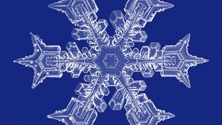 <p><strong>KAR TANESİ NE RENKTİR</strong></p>

<p><strong>Kar tanesi, ger&ccedil;ekte beyaz değil, yarı saydamdır. Ancak, karın rengi, kristallerinin g&uuml;neş ışığını farklı y&ouml;nlere yansıtıp renk spektrumunu dağıtması nedeniyle beyaz g&ouml;r&uuml;n&uuml;r.</strong></p>
