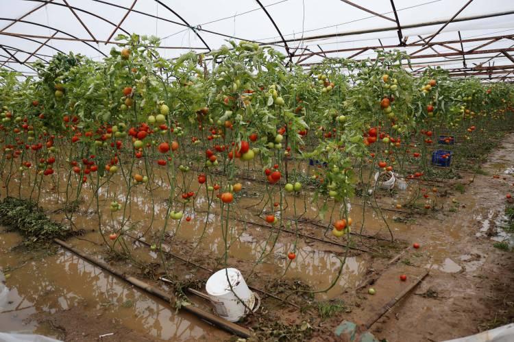 'Sarı kod'la uyarılan Antalya'da kıyamet gibi bir sabaha uyanıldı