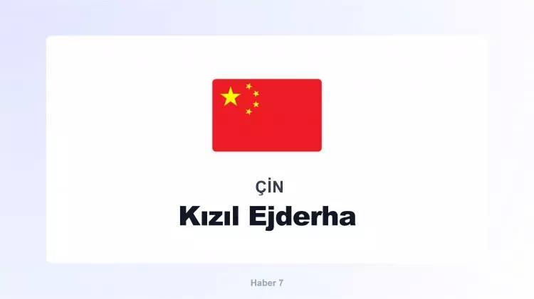 <p><span style="color:#B22222"><strong>&Ccedil;İN</strong></span></p>
