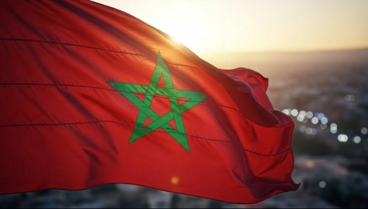 <p><span style="color:#B22222"><strong>10)&nbsp; FAS</strong></span></p>
