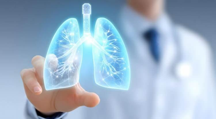 Uzmanlar eczaneye değil mutfağınıza gidin, diyor: Akciğerleri filtre gibi temizleyen besinler!