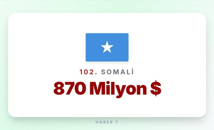 <p><span style="color:#B22222"><strong>102)&nbsp; SOMALİ</strong></span></p>
