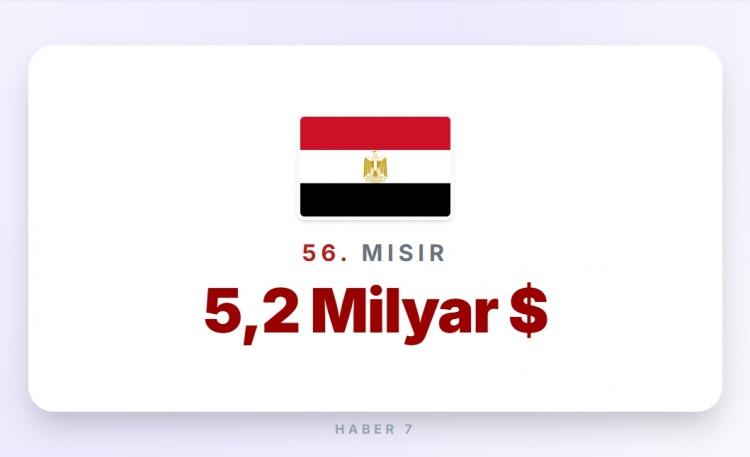 <p><span style="color:#B22222"><strong>56)&nbsp; MISIR</strong></span></p>
