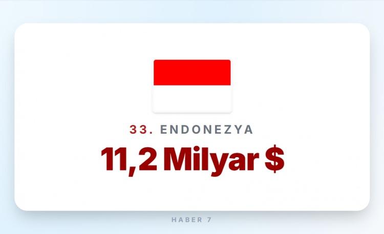 <p><span style="color:#B22222"><strong>33)&nbsp; ENDONEZYA</strong></span></p>
