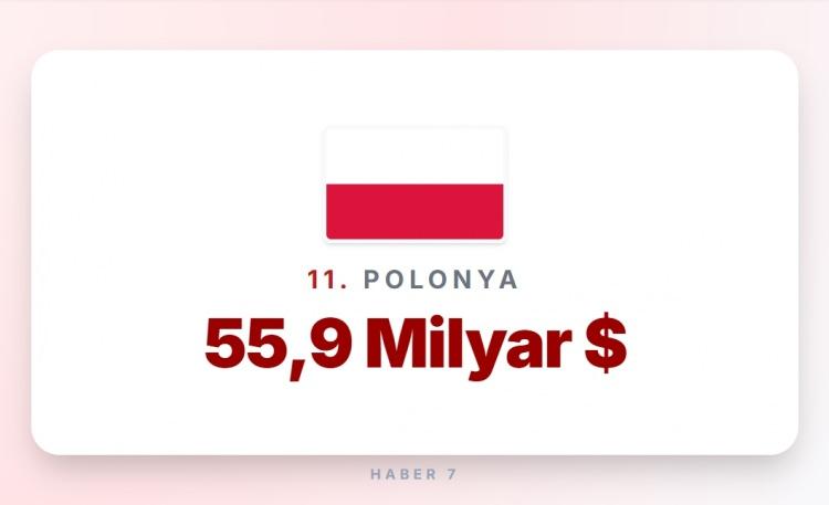 <p><span style="color:#B22222"><strong>11)&nbsp; POLONYA</strong></span></p>
