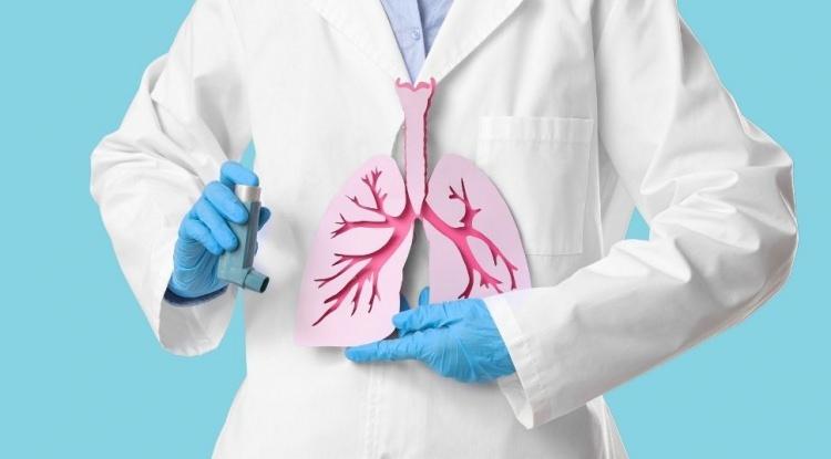 <p><strong>Binlerce yıldır sunduğu sessiz re&ccedil;etelerle en g&uuml;&ccedil;l&uuml; laboratuvarları geride bırakan doğal besinler, her solukta kaybettiğimiz yaşam kalitesini geri kazandıran biyolojik birer anahtar g&ouml;revi &uuml;stleniyor. &Ouml;zellikle hava kirliliği, stresli yaşam koşulları ve &ccedil;evresel fakt&ouml;rlerin akciğerler &uuml;zerindeki olumsuz etkileri g&ouml;z &ouml;n&uuml;ne alındığında doğal besinlerin &ouml;nemi bir kez daha ortaya &ccedil;ıkıyor.</strong></p>
