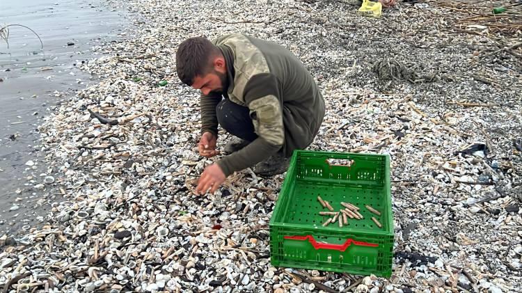 Mersin'de ilgin&ccedil; olay: Duyan duymayana duyurdu! Balık&ccedil;ılar kıyıya koştu 