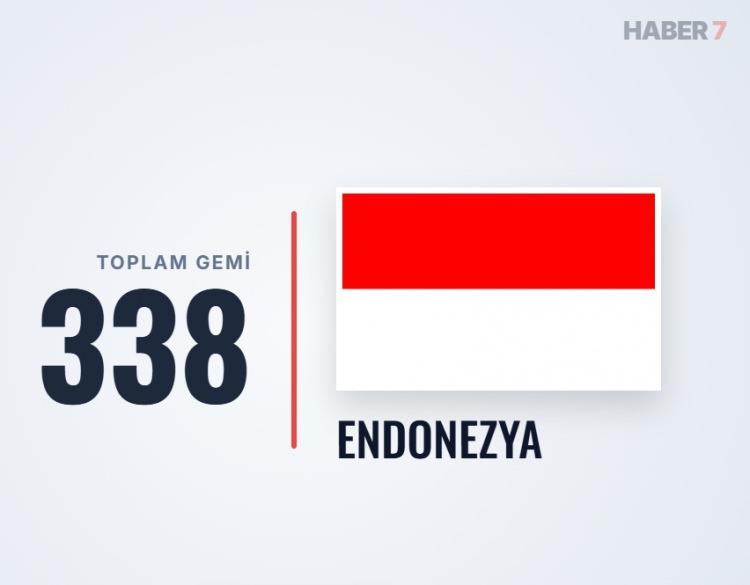 <p><span style="color:#B22222"><strong>5)&nbsp; ENDONEZYA</strong></span></p>
