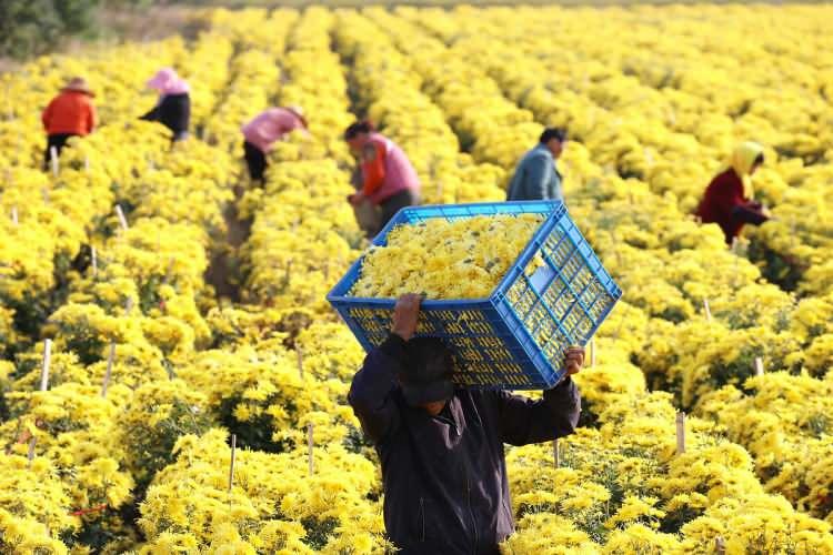 <p><span style="color:#B22222"><strong>&nbsp;İŞTE T&Uuml;RKİYE'NİN EN UZUN, EN KISA VE EN TUHAF İSİMLİ K&Ouml;YLERİ..</strong></span></p>
