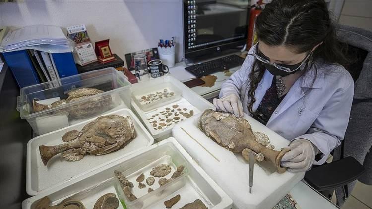 <p><span style="color:#B22222"><strong>MUMYA USTASI (RESTORAT&Ouml;R)</strong></span></p>

<p>&nbsp;</p>
