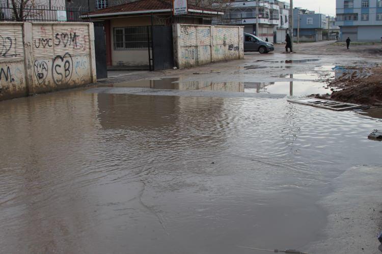 Fıkra gibi! Adana'da esnaf durumu balık tutarak protesto etti