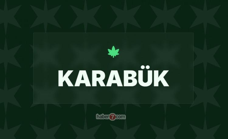 <p><span style="color:#B22222"><strong>7)&nbsp; KARAB&Uuml;K</strong></span></p>
