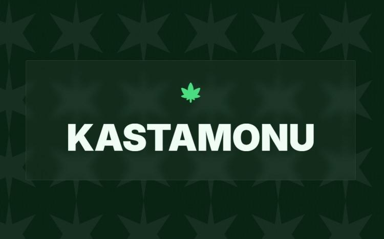 <p><span style="color:#B22222"><strong>8)&nbsp; KASTAMONU</strong></span></p>
