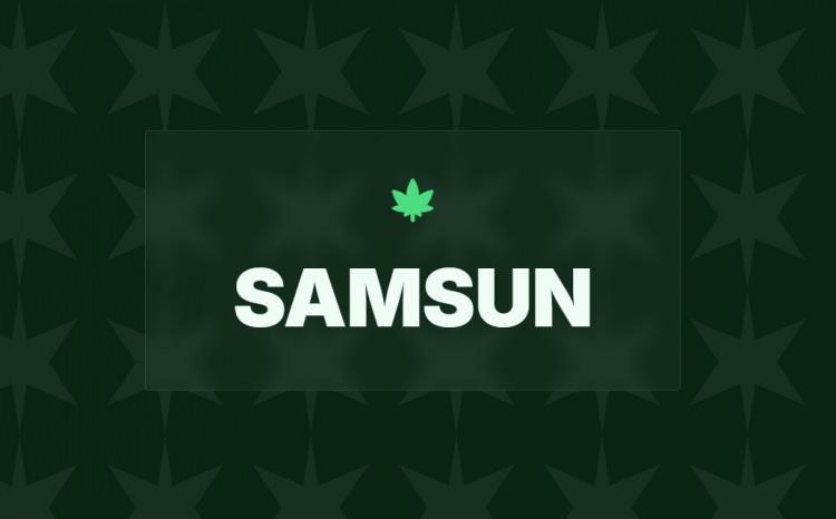 <p><span style="color:#B22222"><strong>15)&nbsp; SAMSUN</strong></span></p>
