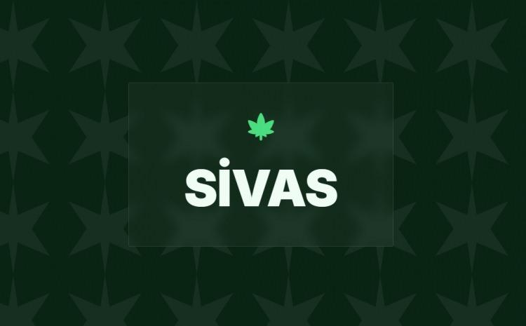 <p><span style="color:#B22222"><strong>17)&nbsp; SİVAS</strong></span></p>
