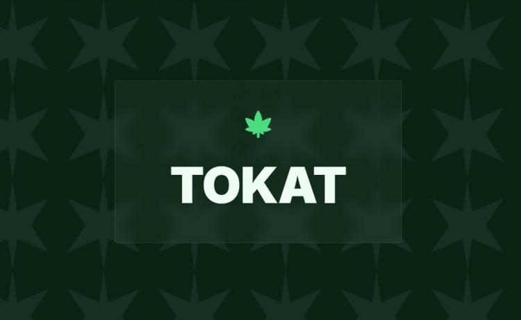 <p><span style="color:#B22222"><strong>18)&nbsp; TOKAT</strong></span></p>
