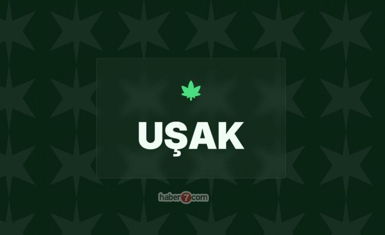 <p><span style="color:#B22222"><strong>19)&nbsp; UŞAK</strong></span></p>
