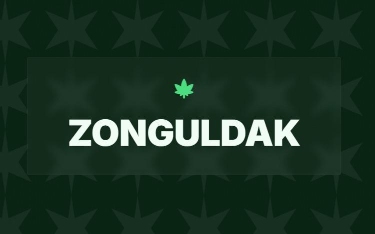 <p><span style="color:#B22222"><strong>21)&nbsp; ZONGULDAK</strong></span></p>
