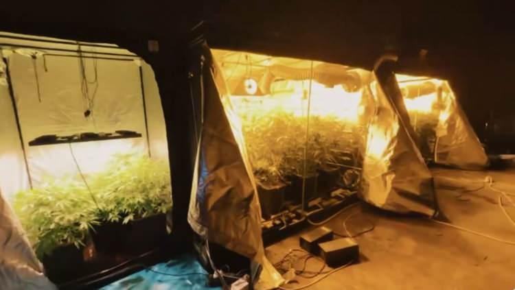 <p>İ&ccedil;işleri Bakanı Yerlikaya, jandarma tarafından son 2 haftada d&uuml;zenlenen operasyonları, sanal medya hesabından duyurdu.&nbsp;</p>

<p>&nbsp;</p>
