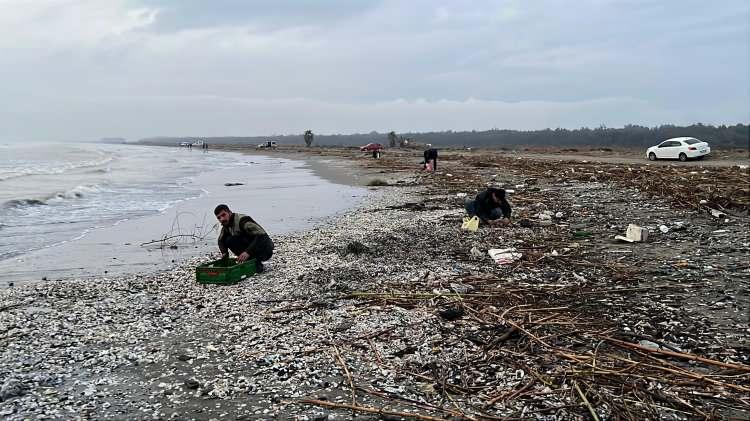 Mersin'de ilgin&ccedil; olay: Duyan duymayana duyurdu! Balık&ccedil;ılar kıyıya koştu 