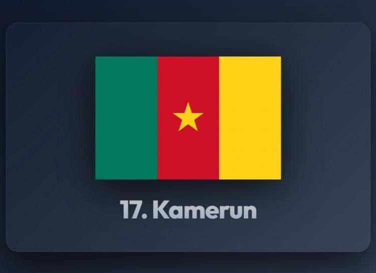 <p><span style="color:#B22222"><strong>17)&nbsp; KAMERUN</strong></span></p>
