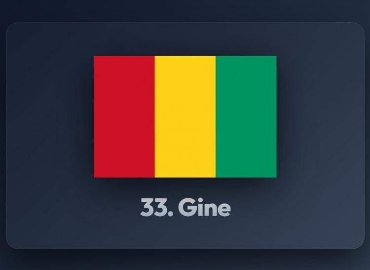 <p><span style="color:#B22222"><strong>33)&nbsp; GİNE</strong></span></p>
